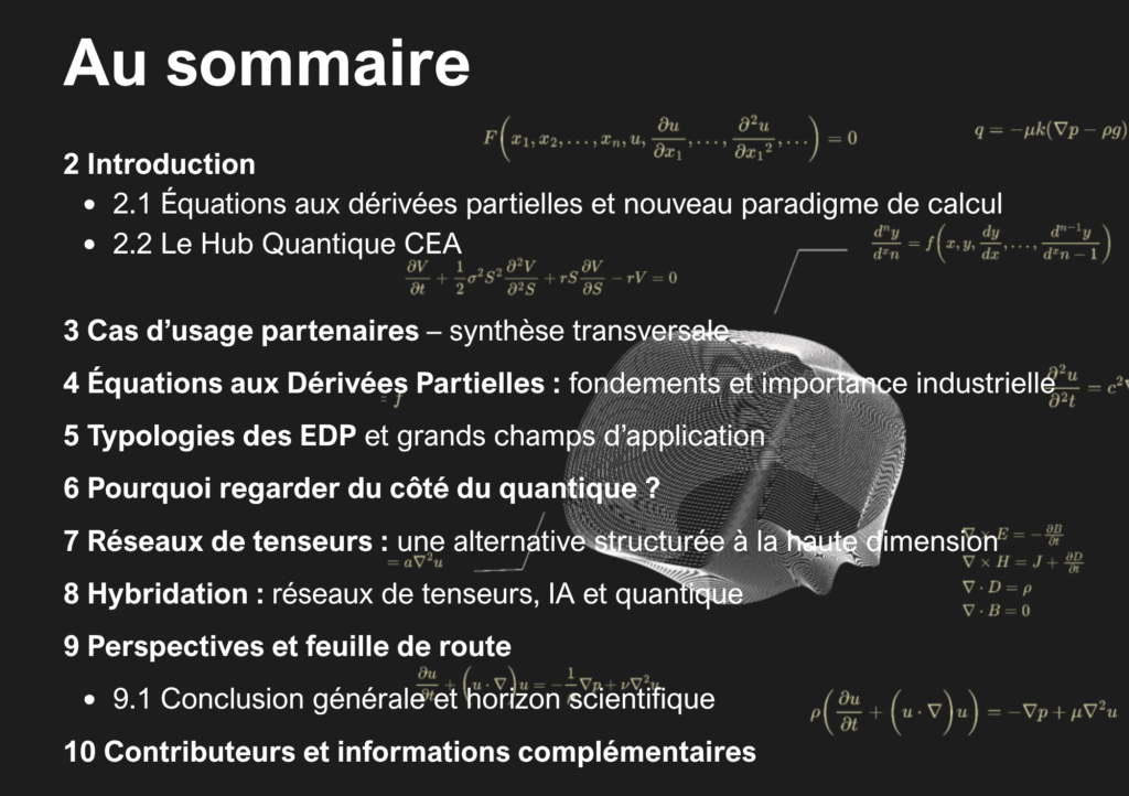 Sommaire livre blanc Equations aux dérivées partielles
