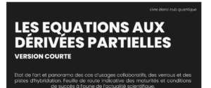 Livre Blanc "Les Equations Dérivées Partielles".